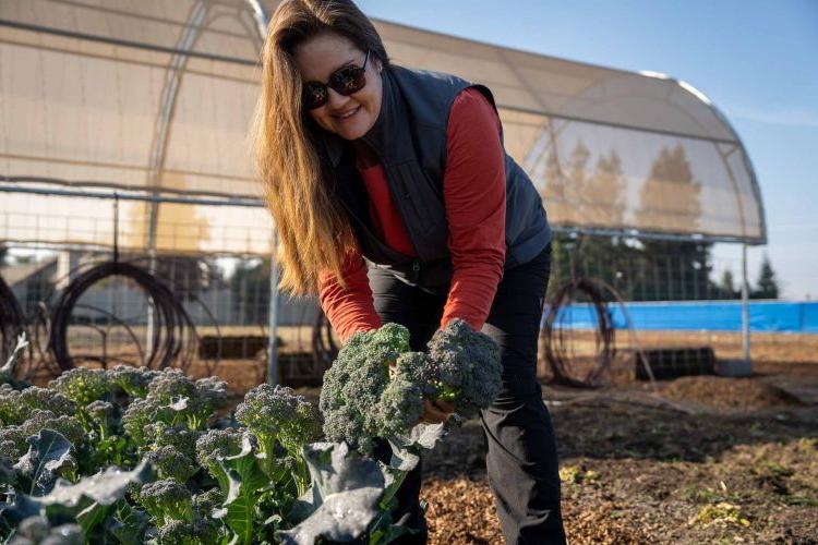 Jessica Coleman holds broccoli while working in a garden